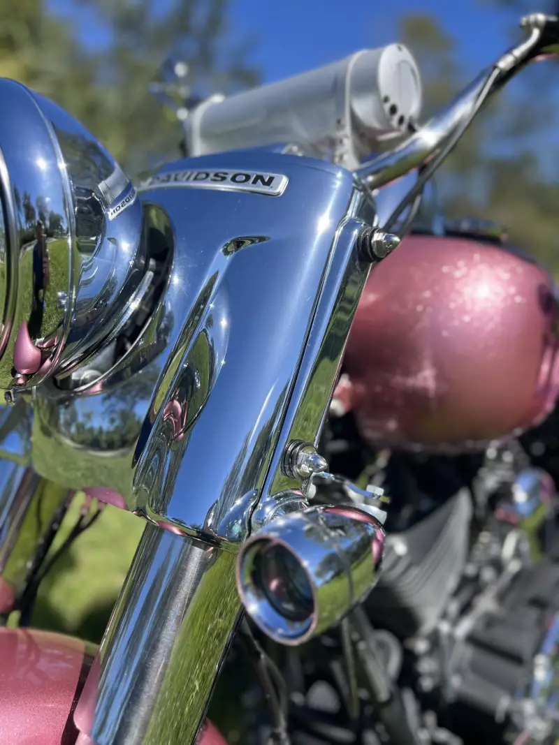 2016 Harley-Davidson Freewheeler photo 28