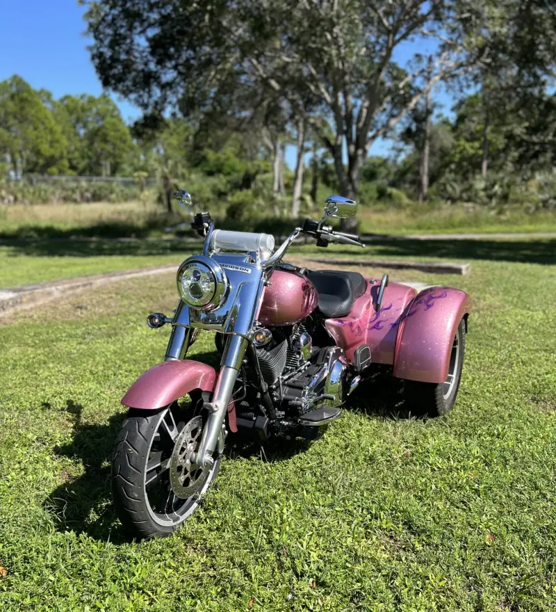 2016 Harley-Davidson Freewheeler photo 1