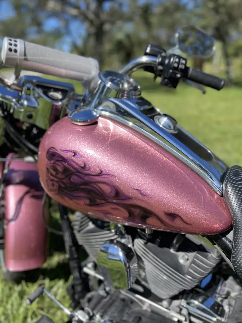 2016 Harley-Davidson Freewheeler photo 35