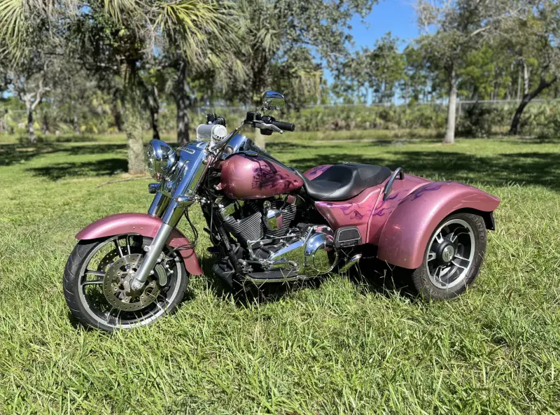 2016 Harley-Davidson Freewheeler photo 6