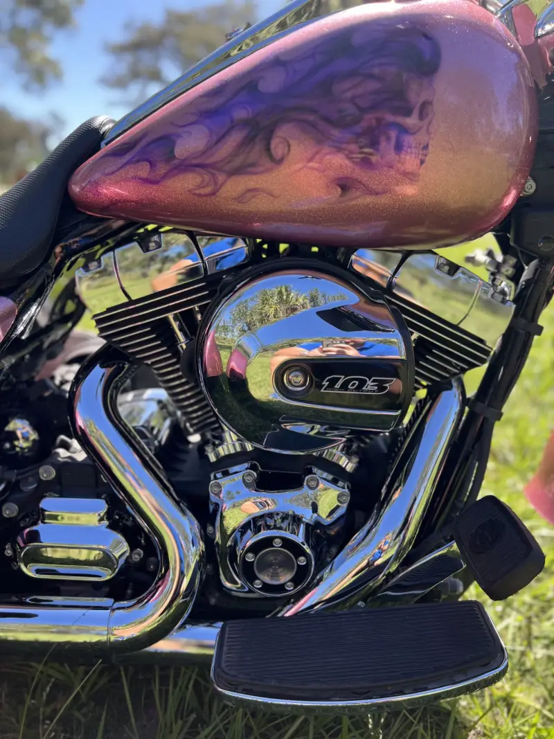 2016 Harley-Davidson Freewheeler photo 61