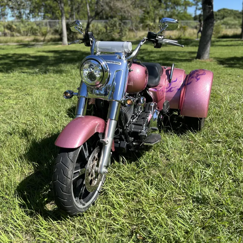 2016 Harley-Davidson Freewheeler photo 10